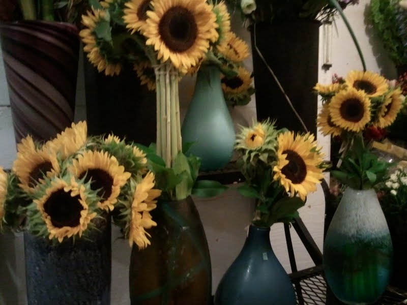 sunflowers-in-vases