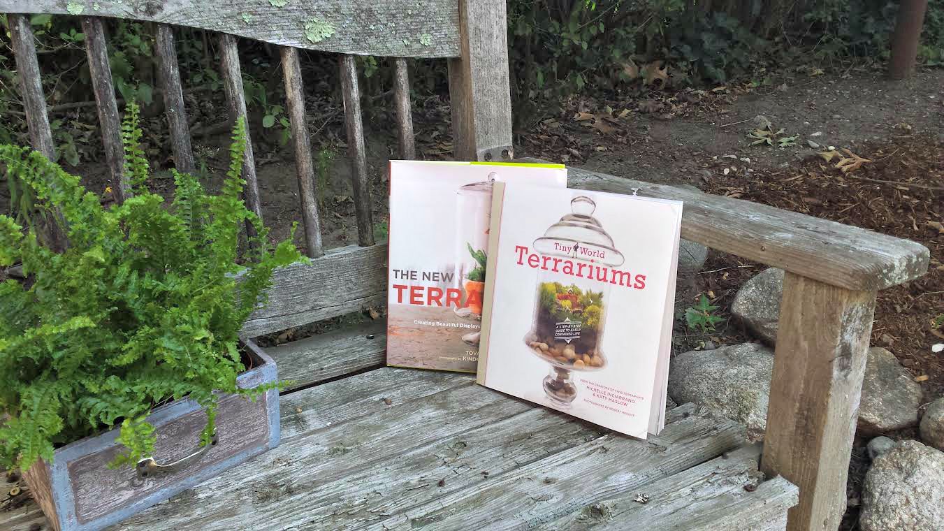terrarium book on bench